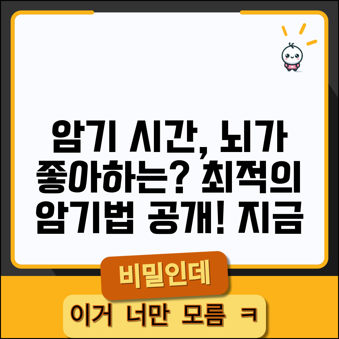 암기 시간대 언제가 효과적인지 | 암기 최적 시간대