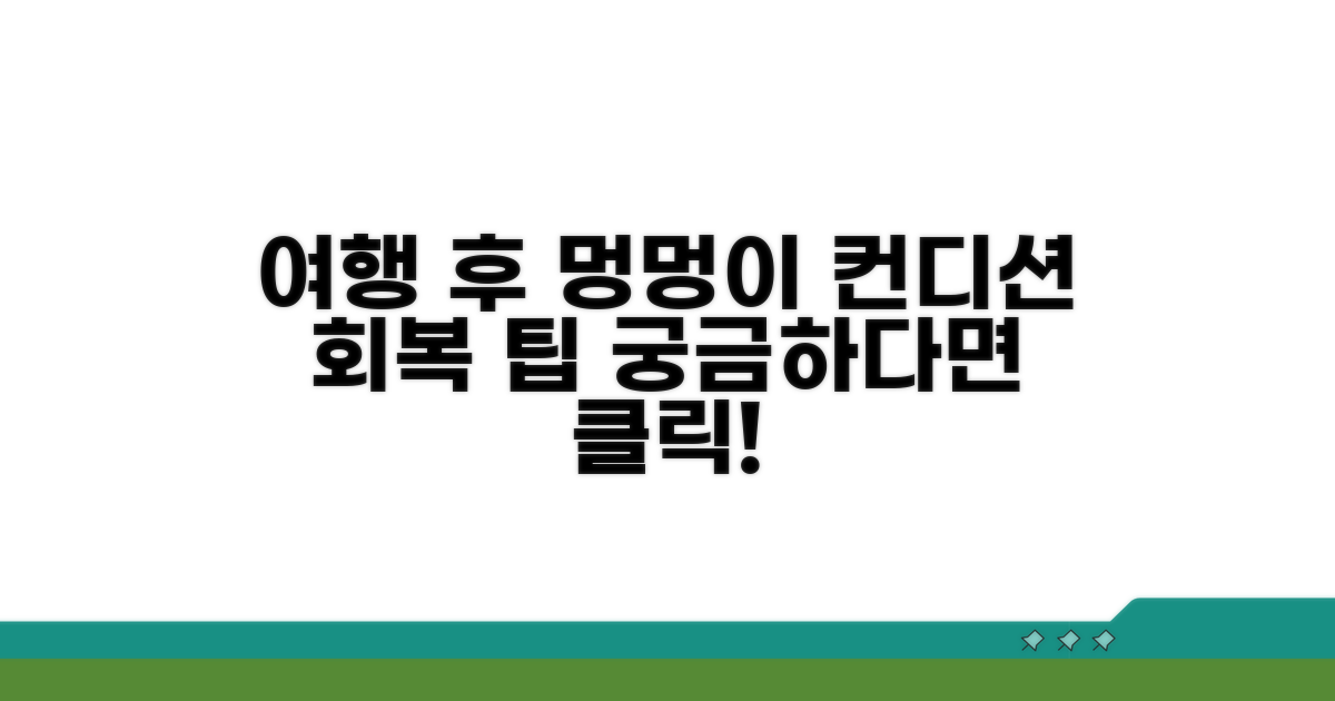 여행 후 강아지 컨디션 회복 방법