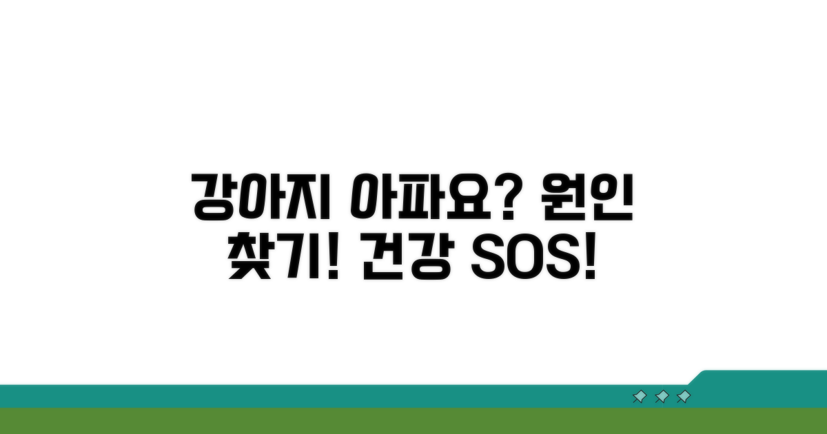 강아지 컨디션 악화, 무엇이 문제일까?
