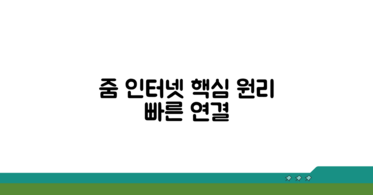 줌 인터넷 연결 핵심 원리